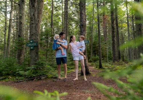 A family of four is walking in a forest, with the parents holding their children and signposts on the trees in the background.